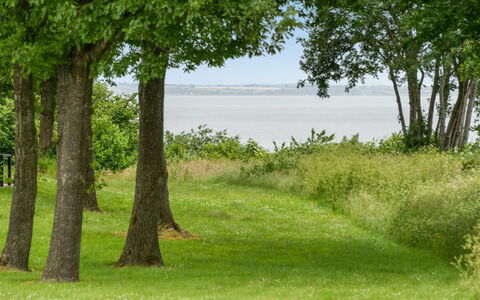 Ditte - 300M from the Sea: Groen, Gras, Natuurlijke Omgeving, Blad, Natuurlijk Landschap, Vegetation, Grasland, Land Lot, Plain, Trunk