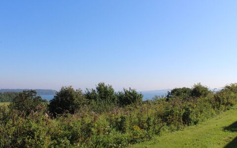 Marga - 400M from the Sea: Dak, Huis, Huis, Verblijf, Deur, Siding, Dek, Veranda, Plank, Hardwood