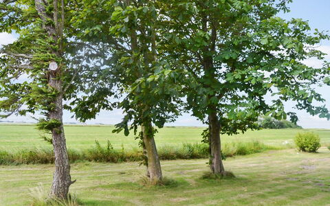 Juuso - 20Km from the Sea: Dak, Huis, Huis, Verblijf, Deur, Siding, Dek, Veranda, Plank, Hardwood