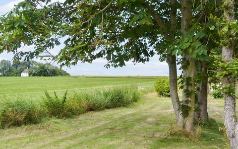 Juuso - 20Km from the Sea: Dak, Huis, Huis, Verblijf, Deur, Siding, Dek, Veranda, Plank, Hardwood