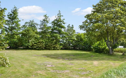 Juuso - 20Km from the Sea: Groen, Boom, Blad, Afdeling, Vegetation, Struik, Grasland, Plantengemeenschap, Plain