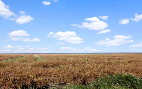 Skarpe: Gras, Grasland, Landschap, Ecoregio, Plain, Plantengemeenschap, Land Lot, Buitenmeubels, Prairie, Shrubland