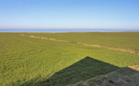 Skarpe: Gras, Grasland, Landschap, Ecoregio, Plain, Plantengemeenschap, Land Lot, Buitenmeubels, Prairie, Shrubland