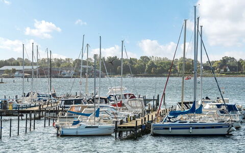 Joar - 5M to the Fjord: Boot, Blauw, Water, Zwemwater, Watercraft, Jachthaven, Boten En Varen - Materialen En Benodigdheden, Waterweg, Dok, Haven