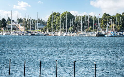 Joar - 5M to the Fjord: Blauw, Water, Waterweg, Boot, Jachthaven, Watercraft, Mast, Kanaal, Meer, Haven