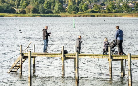Joar - 5M to the Fjord: Dak, Huis, Verblijf, Siding, Schaduw, Boerderij, Landgoed, Oprit, Garden Gebouwen, Werf