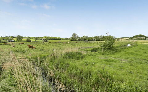 Sigbritt - 100M from the Sea: Lucht, Gras, Grasland, Natuurlijke Omgeving, Groen, Ecoregio, Vegetation, Natuurlijk Landschap, Wolk, Plain