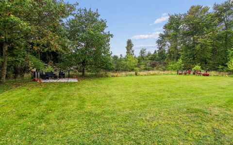 Arvi - 30Km from the Sea: Boom, Gras, Struik, Tuin, Land Lot, Plain, Gazon, Weide, Park