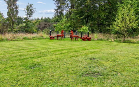 Arvi - 30Km from the Sea: Boom, Gras, Grasland, Struik, Tuin, Land Lot, Plain, Gazon, Weide