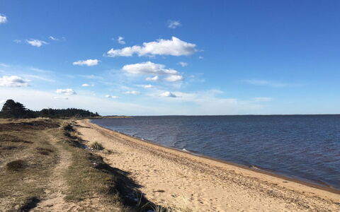 Elevine - 300M to the Fjord: Lucht, Zwemwater, Kust, Strand, Horizon, Kust, Kust En Oceanic Landvormen, Zand, Zee, Oceaan