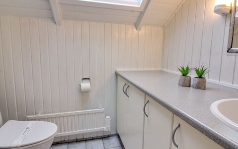 Sebiorn - 300M to the Fjord: Loodgieterswerkinrichting, Flooring, Wastafel, Badkamer, Verdieping, Kraan, Interieur Ontwerp, Loodgieter, Wastafel In De Badkamer, Badkamerkast