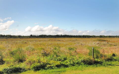 Neven - 900M from the Sea: Lucht, Blauw, Wolk, Natuurlijke Omgeving, Gras, Grasland, Groen, Natuurlijk Landschap, Plain, Ecoregio