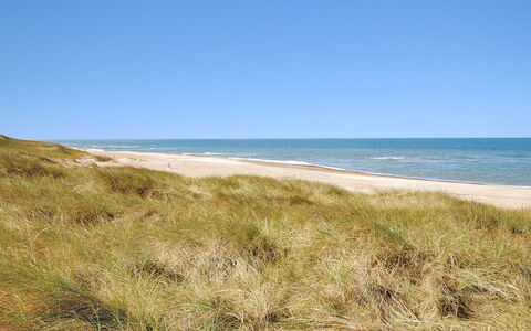 Neven - 900M from the Sea: Blauw, Water, Zwemwater, Kust, Strand, Horizon, Zee, Kust En Oceanic Landvormen, Ecoregio