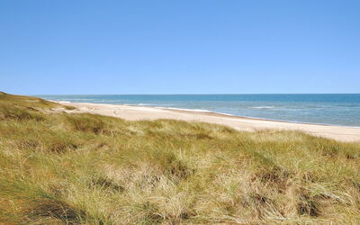 Neven - 900M from the Sea