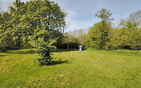 Sophia - 8Km from the Sea: Blauw, Dag, Gras, Blad, Boom, Natuur, Afdeling, Vegetation, Grasland, Struik