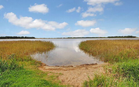 Sophia - 8Km from the Sea: Lucht, Wolk, Watervoorraden, Zwemwater, Moeras, Natuurlijke Omgeving, Natuurlijk Landschap, Cumulus, Horizon