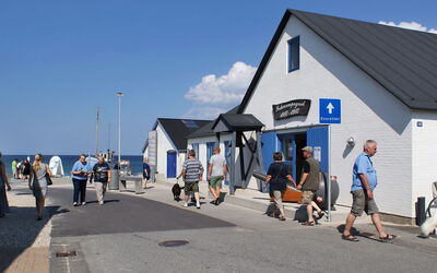 Eroll - 1.8Km from the Sea
