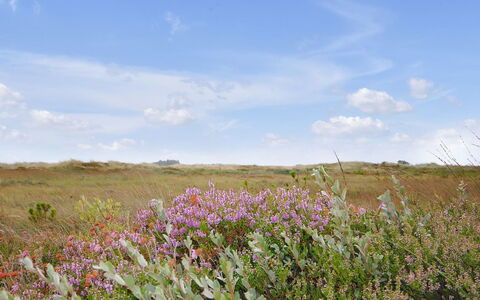 Margrethe - 1.1Km from the Sea: Woongebied, Dak, Voorstad, Oprit, Landgoed, Schoorsteen