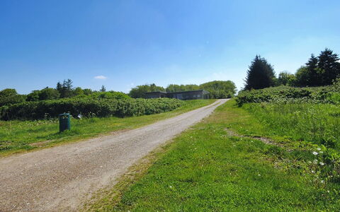 Eloise - 50M to the Fjord: Lucht, Blauw, Groen, Gras, Vegetation, Natuurlijk Landschap, Grasland, Struik, Zomer