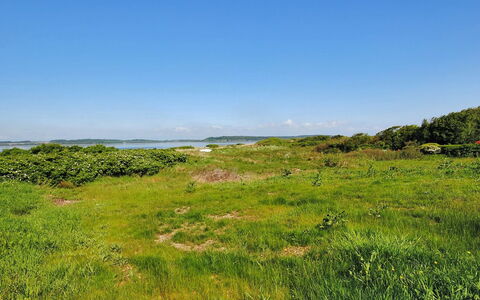 Eloise - 50M to the Fjord: Lucht, Blauw, Groen, Gras, Grasland, Vegetation, Natuurlijk Landschap, Wolk, Horizon, Ecoregio