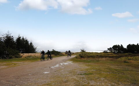Eljas - 200M to the Fjord: Lucht, Wolk, Ecoregio, Recreatie, Plain, Trail, Fiets