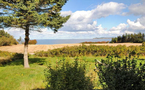 Kaleva - 200M to the Fjord: Lucht, Blauw, Groen, Vegetation, Natuurlijk Landschap, Plain, Grasland, Ecoregio, Land Lot, Veld