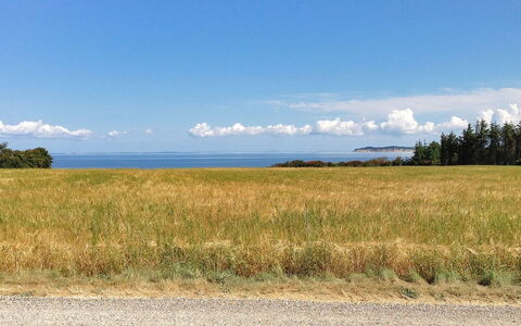 Kaleva - 200M to the Fjord: Blauw, Gras, Wolk, Horizon, Grasland, Natuurlijk Landschap, Plain, Ecoregio, Veld, Prairie