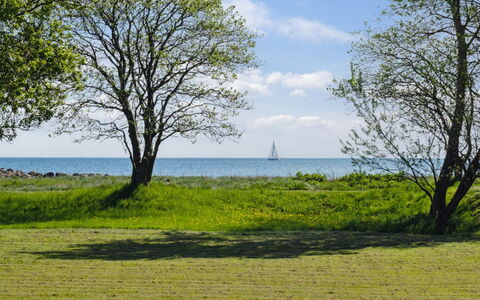 Elba - 100M from the Sea: Zwembad, Buitenmeubels, Meubilair, Toevlucht, Flagstone, Eco Hotel, Schaduw, Stoel, Vrije Tijd, Landgoed