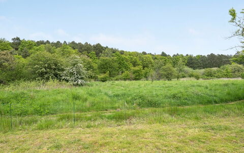 Aris - 480M from the Sea: Zwembad, Buitenmeubels, Meubilair, Toevlucht, Flagstone, Eco Hotel, Schaduw, Stoel, Vrije Tijd, Landgoed