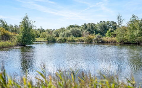 Milo - 5M from the Sea: Lucht, Blauw, Water, Watervoorraden, Zwemwater, Natuur, Natuurlijke Omgeving, Groen, Natuurlijk Landschap, Vegetation