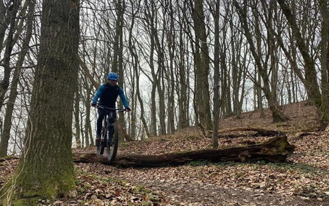 Eva - 1.5Km to the Fjord: Fietswiel, Fiets, Boom, Wiel, Mountain Biking