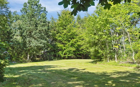 Teodora - 450M from the Sea: Struik, Verblijf, Huis, Schaduw, Groundcover, Tuin, Werf, Backyard, Garden Gebouwen, Gazon