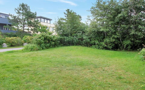 Alina - 200M from the Sea: Gras, Struik, Tuin, Land Lot, Grasland, Gazon, Plantengemeenschap, Groundcover, Weide