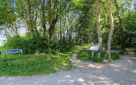 Ernestina - 500M from the Sea: Zwembad, Buitenmeubels, Meubilair, Toevlucht, Flagstone, Eco Hotel, Schaduw, Stoel, Vrije Tijd, Landgoed