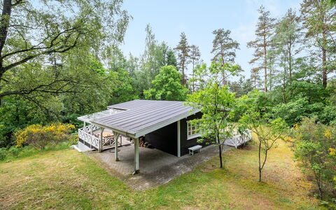 Belenda: Zwembad, Buitenmeubels, Meubilair, Toevlucht, Flagstone, Eco Hotel, Schaduw, Stoel, Vrije Tijd, Landgoed