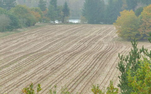Piia - 800M from the Sea: Boom, Veld, Plantage, Plain, Landbouw, Land Lot, Bodem, Boerderij, Bijsnijden