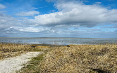 Swale - 500M from the Sea