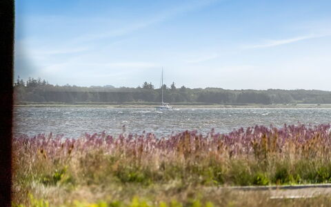 Tayana - 75M to the Fjord: Zwembad, Buitenmeubels, Meubilair, Toevlucht, Flagstone, Eco Hotel, Schaduw, Stoel, Vrije Tijd, Landgoed