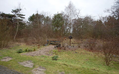 Runhild - 100M from the Sea: Struik, Land Lot, Bodem, Trail, Bos, Pad