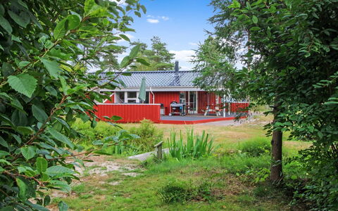 Edzard - 200M from the Sea: Thatching, Verblijf, Huis, Dak, Huis, Boerderij, Hut, Landgoed, Dorp