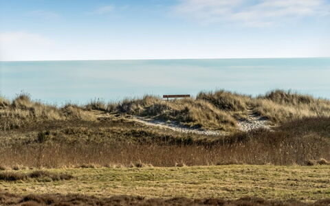 Jyrki - 100M from the Sea: Gras, Ecoregio, Horizon, Grasland, Zee, Plantengemeenschap, Kust En Oceanic Landvormen, Plain, Kust, Steppe