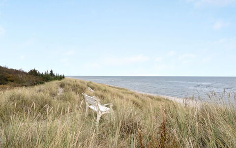 Amaryllis - 100M from the Sea: Thatching, Verblijf, Huis, Dak, Huis, Boerderij, Hut, Landgoed, Dorp