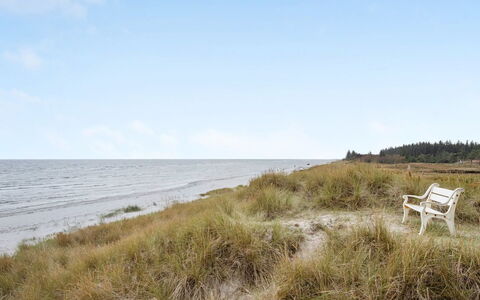 Amaryllis - 100M from the Sea: Thatching, Verblijf, Huis, Dak, Huis, Boerderij, Hut, Landgoed, Dorp
