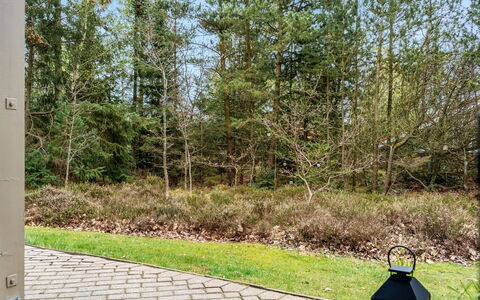 Merte - 300M from the Sea: Blad, Boom, Afdeling, Vegetation, Struik, Tuin, Groundcover, Trunk, Woody Plant, Landscaping