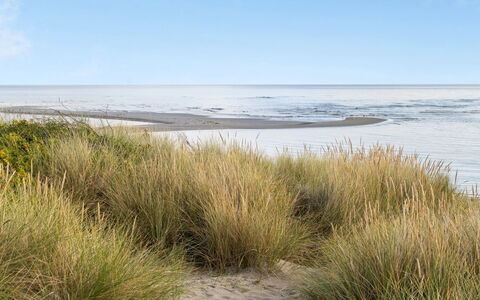 Fay - 25M from the Sea: Thatching, Verblijf, Huis, Dak, Huis, Boerderij, Hut, Landgoed, Dorp