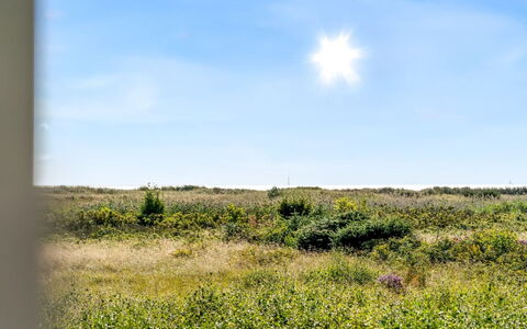 Mumme - 100M from the Sea: Lucht, Blauw, Dag, Groen, Gras, Natuurlijke Omgeving, Grasland, Vegetation, Ecoregio, Natuurlijk Landschap