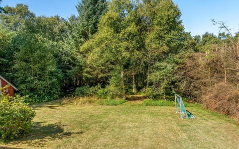 Ane - 1.7Km from the Sea: Gras, Blad, Struik, Land Lot, Tuin, Groundcover, Gazon, Zonlicht, Schaduw