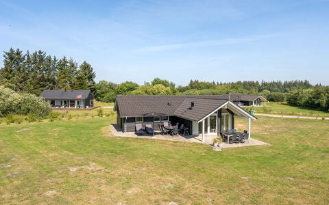 Richard - 4Km from the Sea: Gras, Grasland, Landschap, Ecoregio, Plain, Plantengemeenschap, Land Lot, Buitenmeubels, Prairie, Shrubland