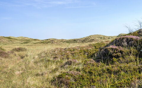 Marjon - 400M from the Sea: Dak, Huis, Deur, Verblijf, Schaduw, Siding, Werf, Landgoed, Backyard