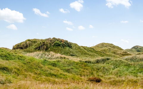 Tarvo - 400M from the Sea: Zwembad, Buitenmeubels, Meubilair, Toevlucht, Flagstone, Eco Hotel, Schaduw, Stoel, Vrije Tijd, Landgoed